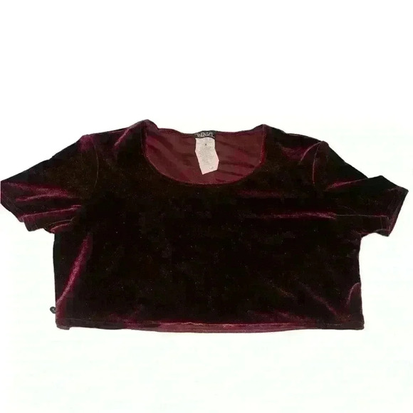 helene blake Tops - Maroon Velvet Crop Top